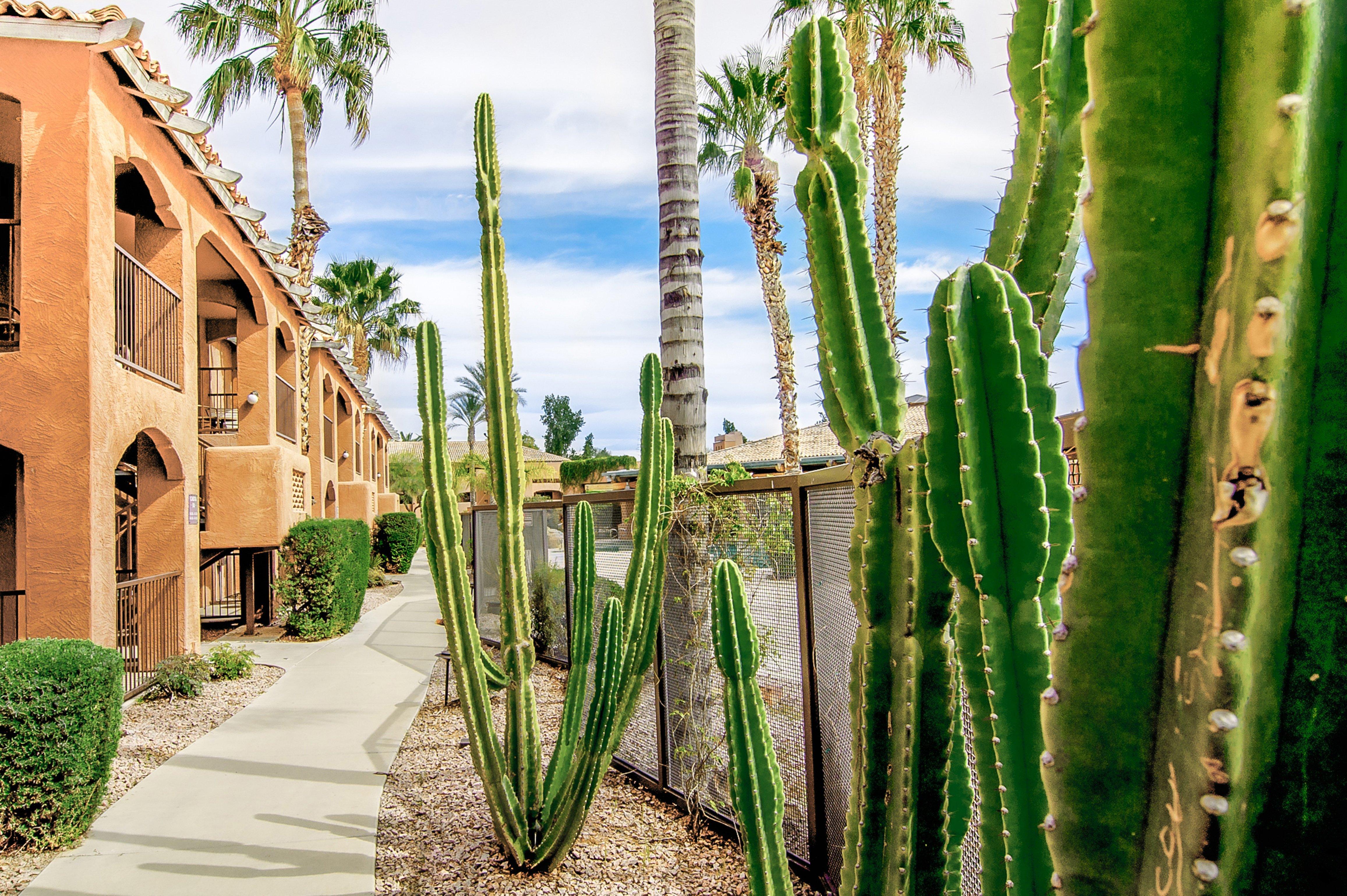 Holiday Inn Club Vacations Scottsdale Resort Екстер'єр фото
